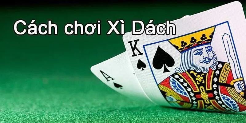 Bạn đã biết cách chơi bài Xì Dách như thế nào chưa?